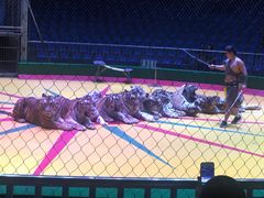 -西安秦岭野生动物园