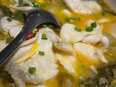 雅菲酸菜鲈鱼-YAFEE雅菲·粤菜·湘菜·融合菜(魏公村店)