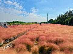 -嘉北郊野公园