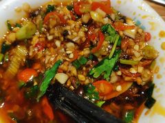-青瓷火锅料理(西单大悦城店)