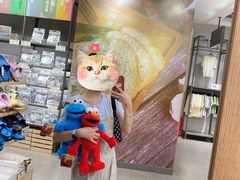 -鹿岛会员店 (龙湖三千集天街店)