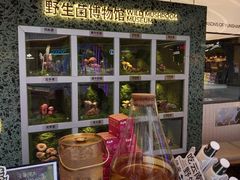 -芸山季·云南野生菌火锅(人民广场来福士店)