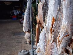 -南沙十九涌渔人码头-南门