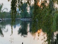 -北京动物园
