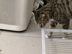-平行世界·猫咖(首经贸店)