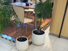 -阳阳中国饭(龙湖大兴天街)