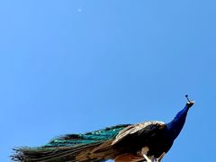 -杭州野生动物世界