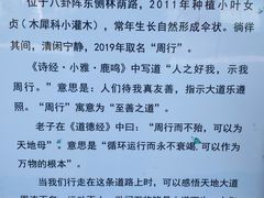-汤阴县羑里周易博物馆