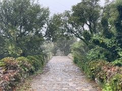 -原山国家森林公园