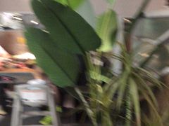 -湊湊火锅·茶憩(皇姑万象汇店)