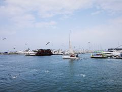 -东港音乐喷泉广场