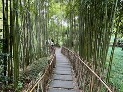 -成都杜甫草堂博物馆