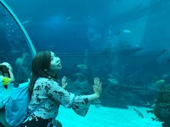 -新加坡海洋生态馆