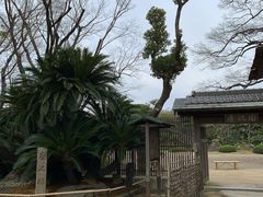 -天王寺公园