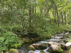 -玉渡山自然风景区
