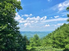 -莫干山风景区