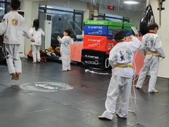 -金翼跆拳道巴西柔术拳击格斗学院