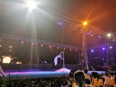 -渔家火锅·海鲜自助餐·演艺(亚龙湾天域酒店)