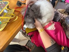 -小意思咖啡店(草桥店)