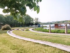 -昆山城市生态森林公园