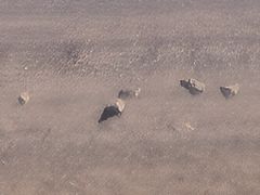 -盐城丹顶鹤湿地生态旅游区
