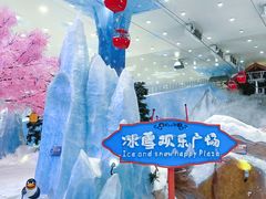 -湘江欢乐城欢乐雪域