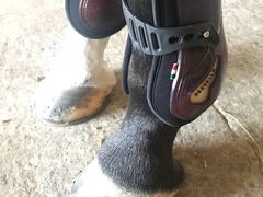 -松声马术俱乐部