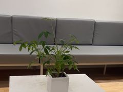 -极简口腔(总院)