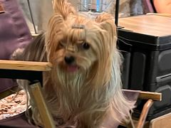 -J Create城市露营咖啡·简餐·宠物(上海动物园店)