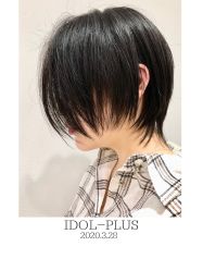 -IDOL PLUS 