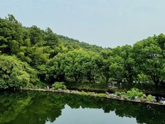 -九龙潭景区