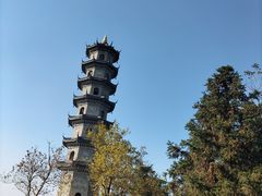 -冶父山国家森林公园