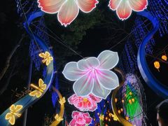 -武汉园博园(武汉自然博物馆)
