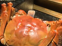 -王家渡火锅店(棕榈泉店)