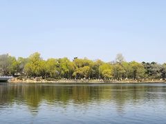 -长春市南湖公园