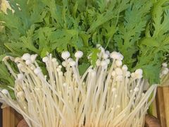 -蝎王府羊蝎子(北大地店)