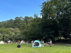 -南国桃园旅游度假区