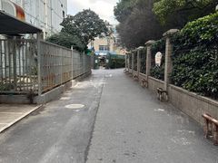 -曲阳花鸟市场(曲阳路店)