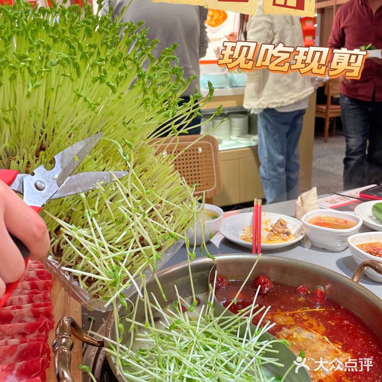 养生局走起❗️❗️❗️|猪肚鸡火锅