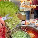 养生局走起❗️❗️❗️｜猪肚鸡火锅