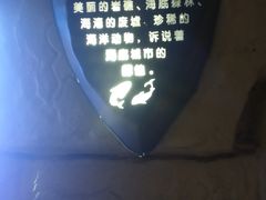 -大连圣亚海洋世界