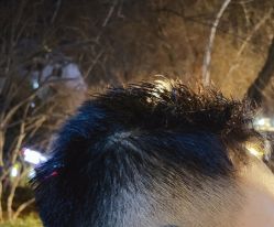 -FOR YOU造型
