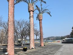 -上海月湖雕塑公园
