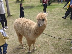 -泉州海丝野生动物世界