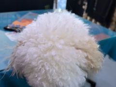 -My Way Town买味堂·东南亚餐厅(亦庄店)