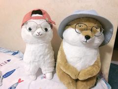 -LLJ夹机占(清河万象汇店)
