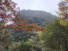 -阿哈湖国家湿地公园