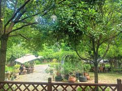 -森居forest休闲咖啡聚集地