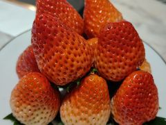 -南堂馆·新川菜(春熙路店)