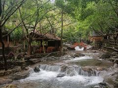 -天门沟九州驿站树上汤泉